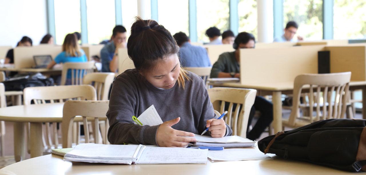 学生在图书馆做研究